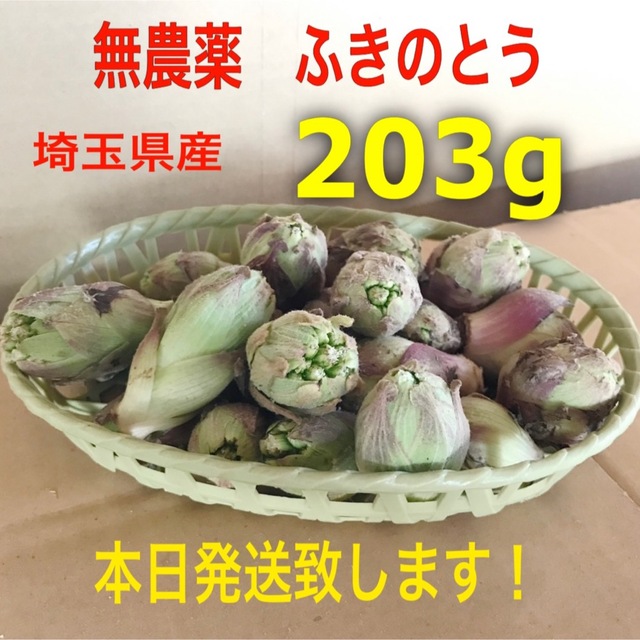 埼玉県産　無農薬　サイズ大小　ふきのとう　蕗の薹　200gオーバー 食品/飲料/酒の食品(野菜)の商品写真