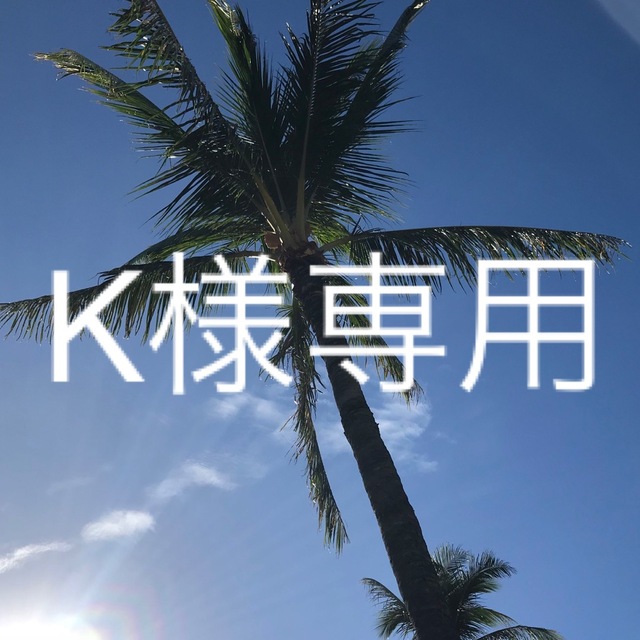 スキンケア/基礎化粧品 K様専用 直販特典付 cabinet-lorama.com