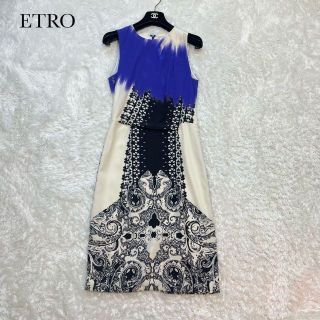 ETRO - 美品✨エトロ ワンピース シルク100% ペイズリー 42号 大きい