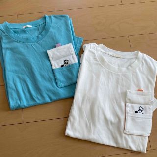 ジーユー(GU)のGU ビッグT(半袖) シナぷしゅ　2枚セット　大人(Tシャツ/カットソー(半袖/袖なし))