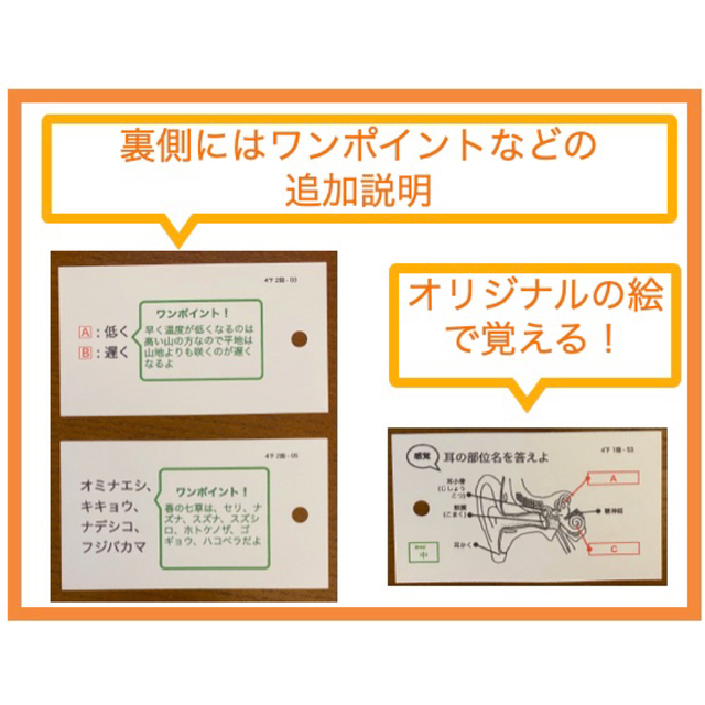 中学受験【4年下全セット 社会・理科 1-18回】組分けテスト対策 予習