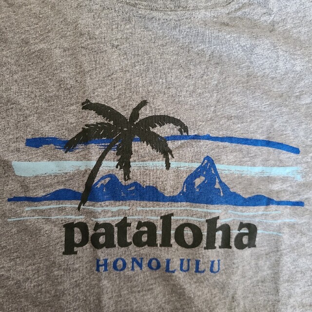 patagonia(パタゴニア)のキッズxsサイズグレーTシャツ キッズ/ベビー/マタニティのキッズ服男の子用(90cm~)(Tシャツ/カットソー)の商品写真