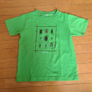 モンベル(mont bell)の130サイズきみどり色虫Tシャツ(Tシャツ/カットソー)