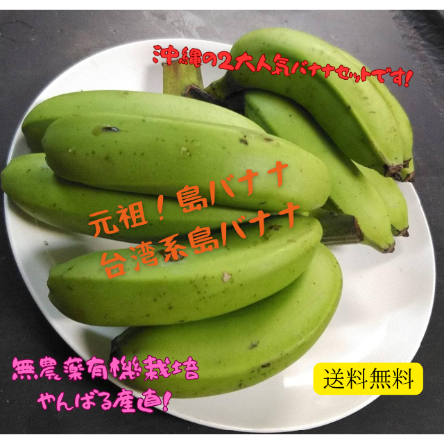 人気の国産バナナ３種！食べ比べ！沖縄本島北部産！３種バナナ