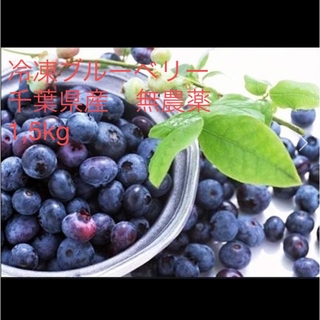 冷凍ブルーベリー　千葉県産　無農薬　1,5kg(フルーツ)