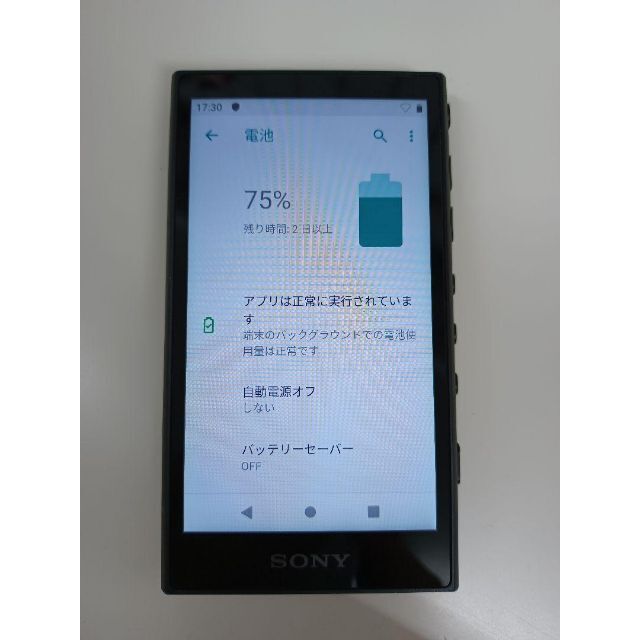 SONY SONY ウォークマン Aシリーズ NW AGBの通販 by