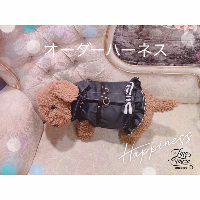 B264.pon2pan2オーダー犬ハーネス☆ペットハーネス