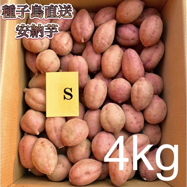 【絶品】種子島産  安納芋S 4kg(箱別) 食品/飲料/酒の食品(野菜)の商品写真