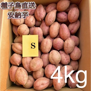 【絶品】種子島産  安納芋S 4kg(箱別)(野菜)