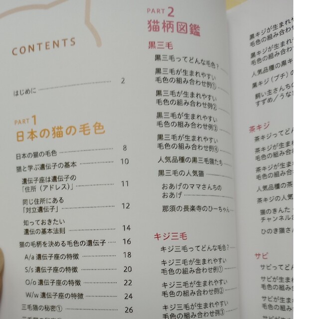 猫柄図鑑 にゃんこの柄のすべてがわかる エンタメ/ホビーの本(住まい/暮らし/子育て)の商品写真