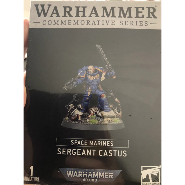 ウォーハンマー Sergeant Castuswarhammer