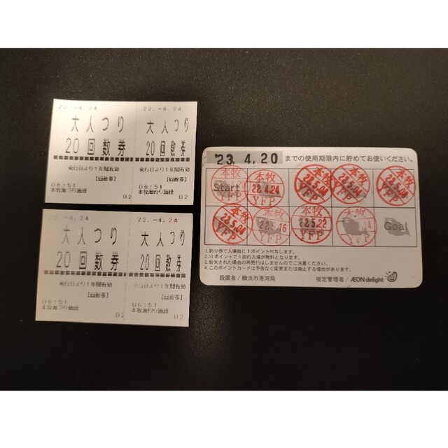 本牧　大黒海釣り施設大人釣り券2枚 チケットの施設利用券(その他)の商品写真