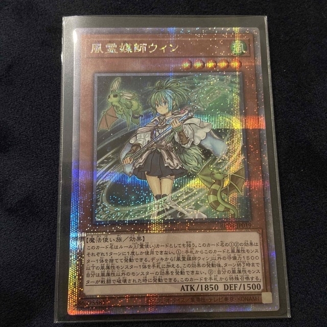 遊戯王 風霊媒 ウィン 25thシークレット www.aupaysducitron.fr