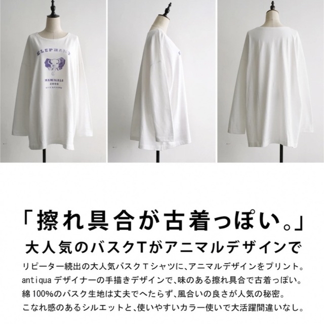 antiqua(アンティカ)のアンティカ　アニマルプリント バスクロンT レディースのトップス(Tシャツ(長袖/七分))の商品写真