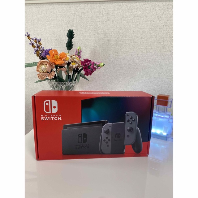 任天堂 - ニンテンドー スイッチ 本体 グレー の+inforsante.fr