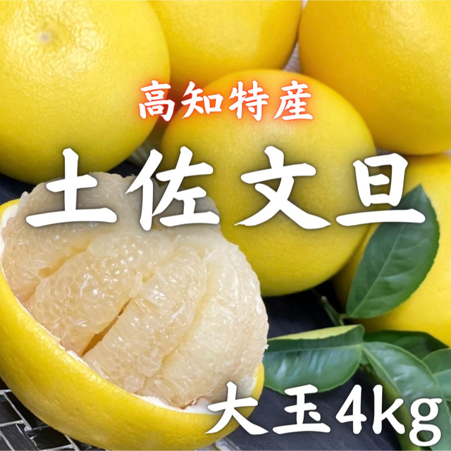 高知特産 露地栽培 土佐文旦 文旦 約4kg 大玉サイズ 食品/飲料/酒の食品(フルーツ)の商品写真