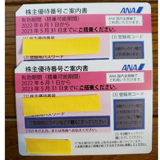 エーエヌエー(ゼンニッポンクウユ)(ANA(全日本空輸))のANA 株主優待券  2枚　2023.5.31まで(その他)