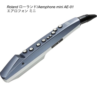 ローランド(Roland)のRoland ローランド/Aerophone mini AE-01 中古品(その他)