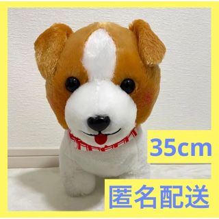 テリー@即購入可、簡易包装様 リクエスト 3点 まとめ商品-