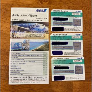 エーエヌエー(ゼンニッポンクウユ)(ANA(全日本空輸))のANA 全日空株主優待券３枚/ グループ優待券1冊(その他)