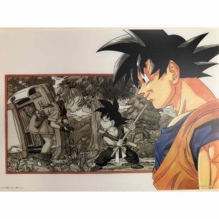 ドラゴンボールZ ブルマと孫悟空 プラ製 ビジュアルアートポスター