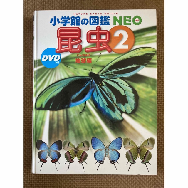 小学館の図鑑NEO 昆虫 2 地球編 DVD付きの通販 by AK911's shop｜ラクマ