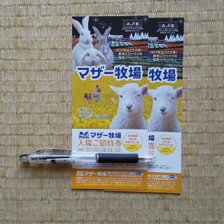 マザー牧場招待券(２枚)(遊園地/テーマパーク)