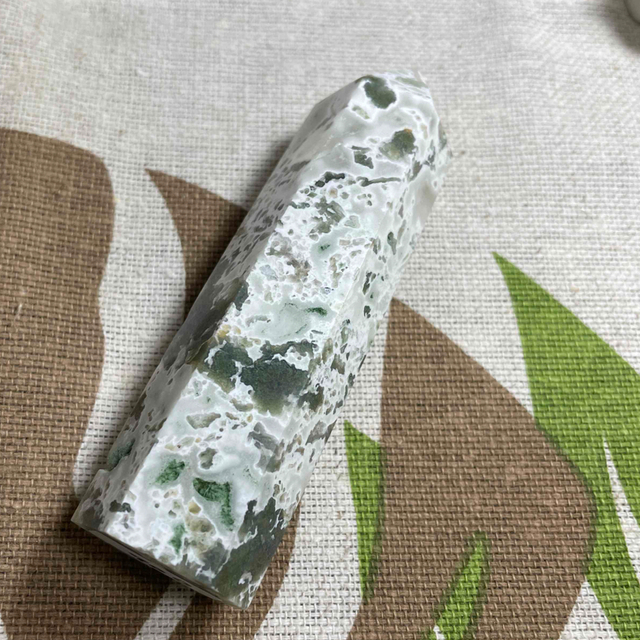 inbisat様 専用ページ クラゲ 【本物保証】 pcdpharmaexpress.com