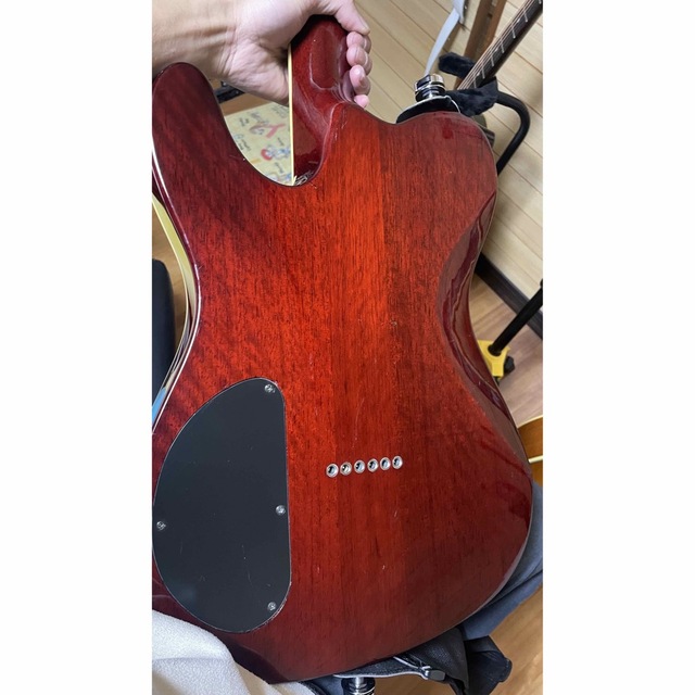 Fender(フェンダー)のFender Spalted Maple Custom Telecastor 楽器のギター(エレキギター)の商品写真