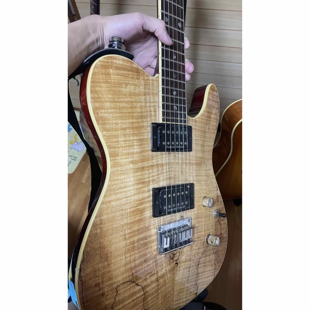 Fender(フェンダー)のFender Spalted Maple Custom Telecastor 楽器のギター(エレキギター)の商品写真