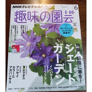 NHK 趣味の園芸 2014年 06月号(その他)