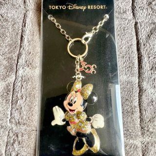 ディズニー(Disney)のディズニー 30周年 ホテル限定 ラゲッジオーナメント(キーホルダー)