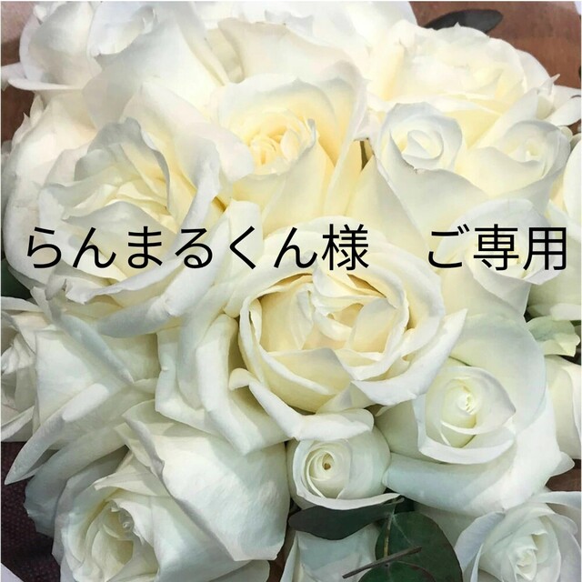 卓越 らんまる様専用 asakusa.sub.jp