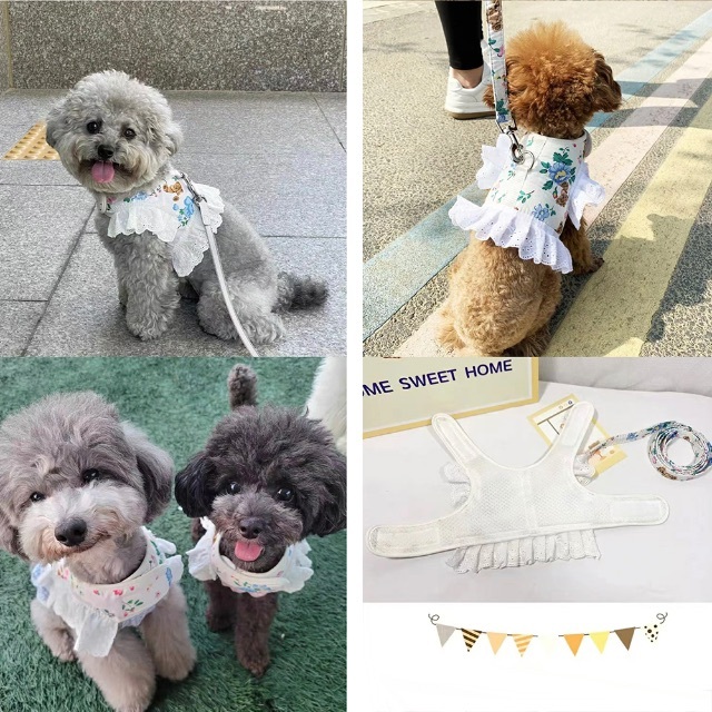 新品 ベアフラワーハーネス&リードセット ホワイト 白 くまさん お花柄 お散歩