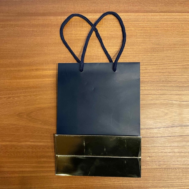 Estee Lauder(エスティローダー)のESTEE LAUDER ショッパー（１枚） レディースのバッグ(ショップ袋)の商品写真