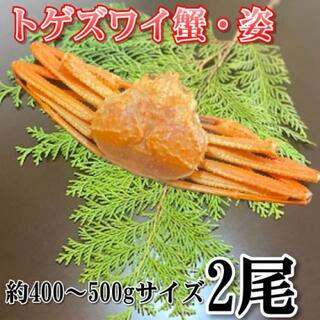 【お歳暮】ボイルトゲズワイ蟹　2尾  約400?500gサイズ 冷凍(魚介)