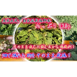 農家自家製お任せ乾燥野菜120g 期間限定値下げ！(野菜)