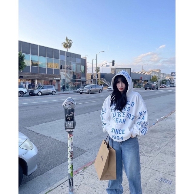 supreme Team Flocked Hooded Sweatshirt 最新発見 www.shelburnefalls.com