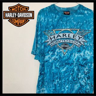 ハーレーダビッドソン(Harley Davidson)のハーレーダビッドソン ブルー系 XL 90s USA製ヴィンテージTシャツ(Tシャツ/カットソー(半袖/袖なし))