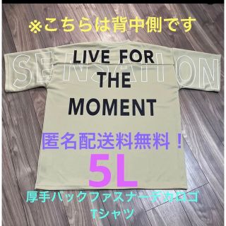 5L☆BEバック大ロゴ厚手プリントTシャツ大きいサイズ半袖ベージュ(Tシャツ/カットソー(半袖/袖なし))