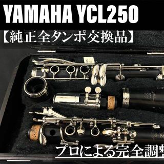 ヤマハ(ヤマハ)の【完動品 メンテナンス済】YAMAHA YCL250 クラリネット(クラリネット)