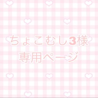 ちょこむし3様専用ページ(その他)