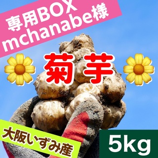 ❤️【産直・大阪いずみ産】菊芋（白菊芋）〜5kg(野菜)