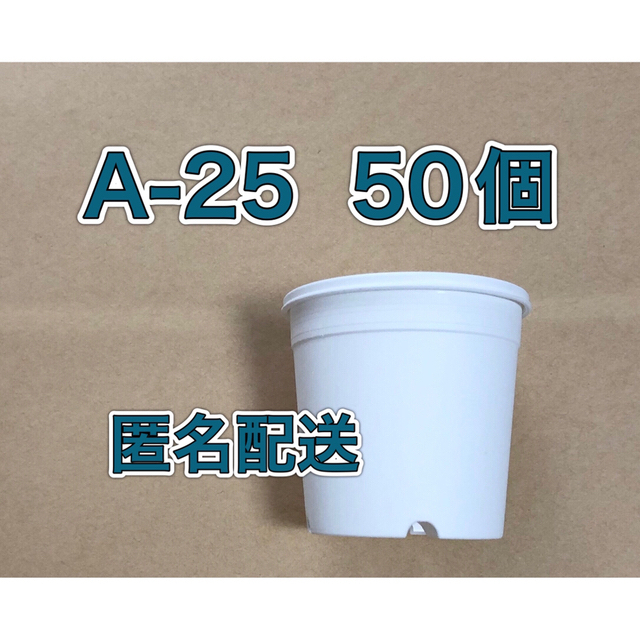 【確認用】《A-25他》白 スリット鉢 プラ鉢 多肉植物 匿名配送