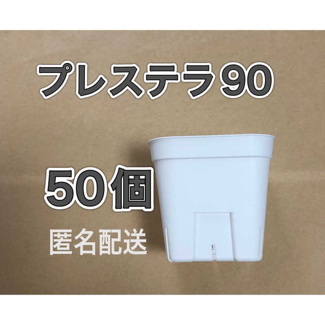 【確認用】《A-25他》白 スリット鉢 プラ鉢 多肉植物 匿名配送 ハンドメイドのフラワー/ガーデン(プランター)の商品写真