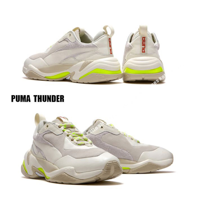 PUMA ダッドスニーカー/ THUNDER SPECTR 24.0センチ レディースの靴/シューズ(スニーカー)の商品写真