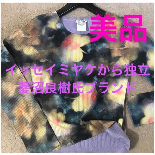 イッセイミヤケ(ISSEY MIYAKE)の美品❤️YOSHIKI HISHINUMAトップス　長袖ブラウス感覚ニット　(ニット/セーター)