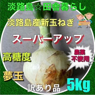 ✨淡路島産新玉ねぎ5kg 訳あり品 スーパーアップ 農薬不使用 高糖度(野菜)