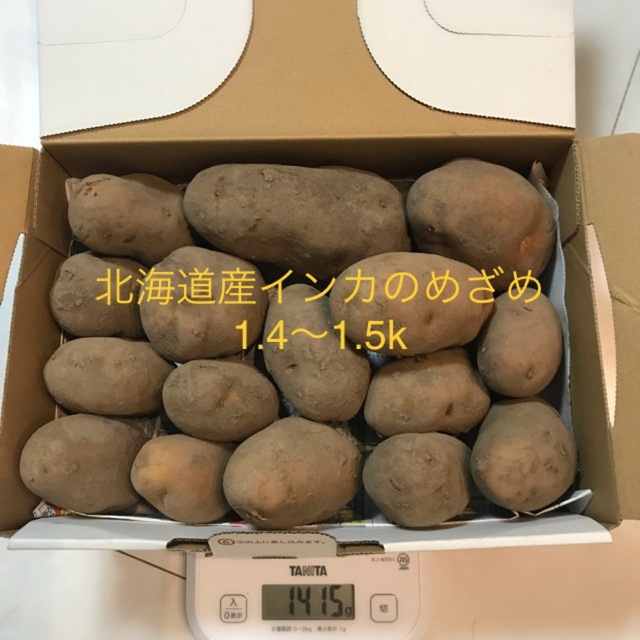 北海道産熟成インカのめざめ　1.4k 食品/飲料/酒の食品(野菜)の商品写真
