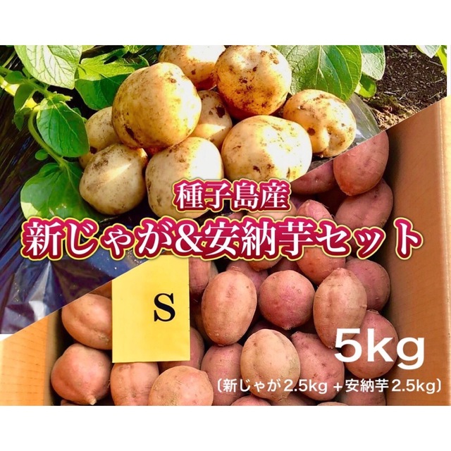 【期間限定】種子島産 新じゃが(SML)＆熟成安納芋(S) ｜1箱5kg(箱別) 食品/飲料/酒の食品(野菜)の商品写真